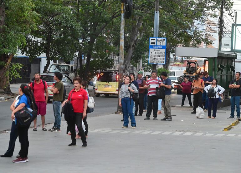 La ciudadanía sigue sufriendo por la falta de buses y desde el Gobierno no encuentran una solución.