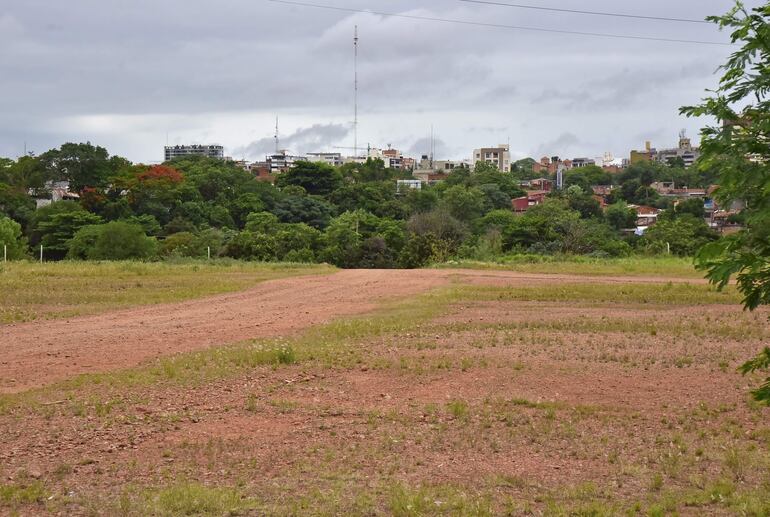 Vista de la fracción A1, de poco más de 2 hectáreas, también en venta.
