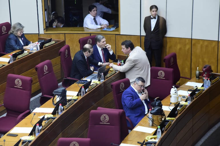 La aplanadora cartista se impuso en el Senado para mantener el plazo de tratamiento de dos controvertidos proyectos de ley de carrera civil y RUN.