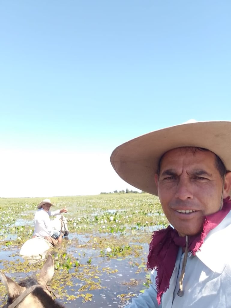 Productores de la zona de Potrero Pirú del distrito de Guazucuá trasladan vacunos a zonas altas. En este municipio se acumularon más de 450 mm de lluvias desde el 6 de abril hasta ayer, según datos meteorológicos. 