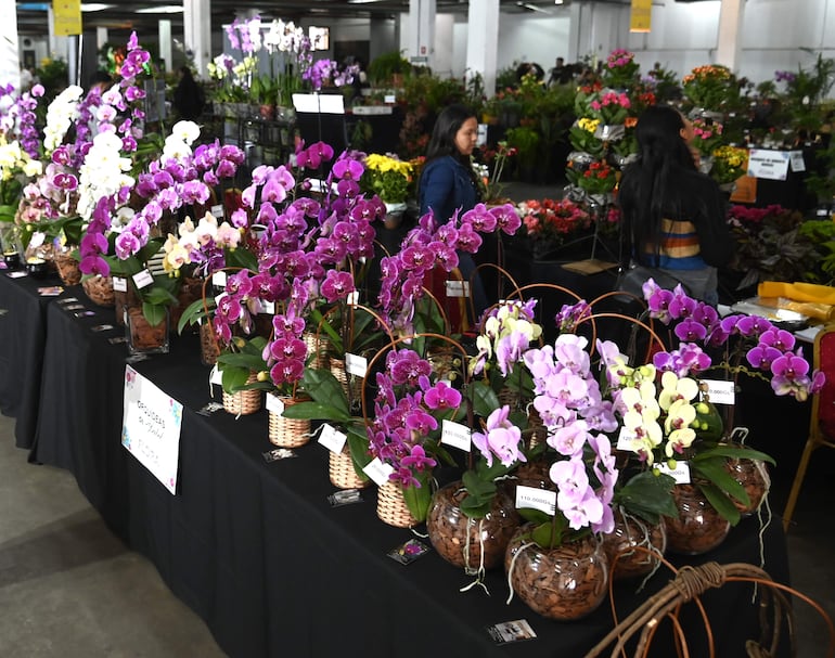 Exitoso cierre de la Expo Flora 2023, hoy en el Centro de Convenciones Mariscal.