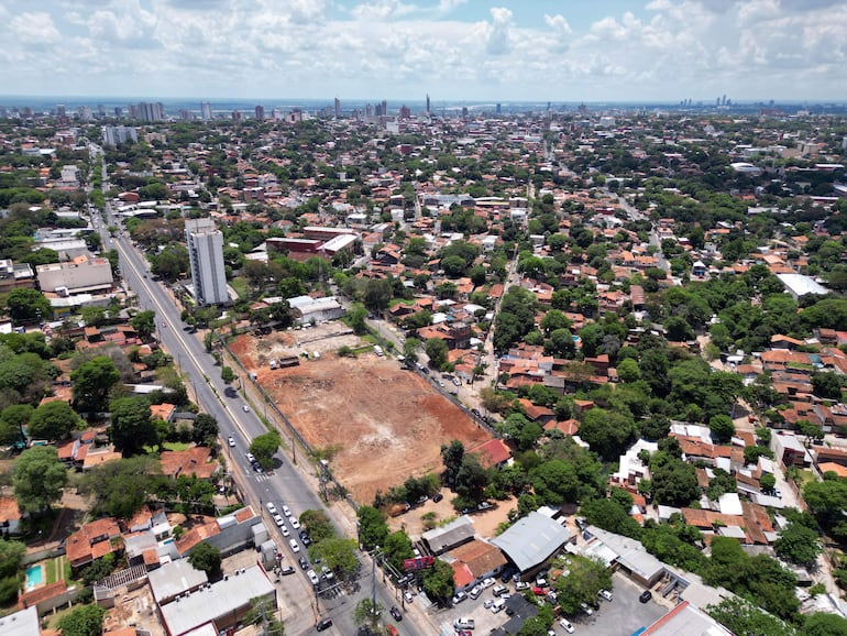 El ahora exbosque San Vicente, luego de la tala de 117 añosos y voluminosos árboles.
