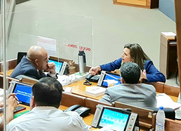 El cartista Basilio "Bachi" Núñez y la diputada opositora Kattya González discuten durante la sesión de en Diputados. (Archivo).