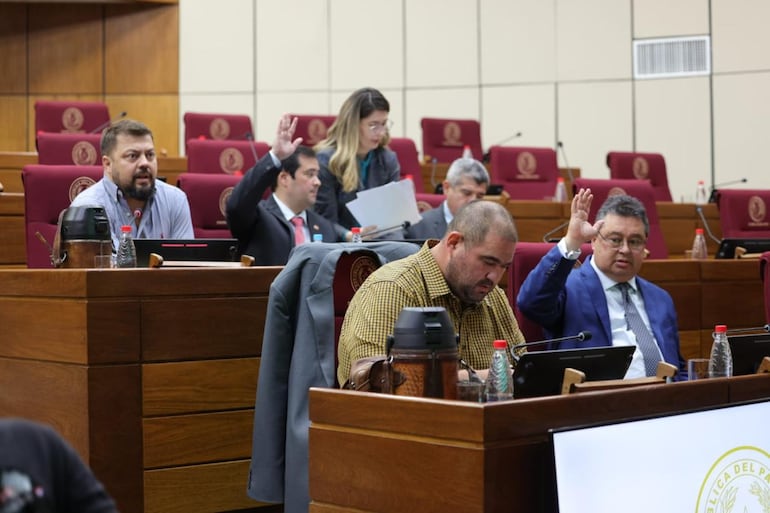 Comisión Garrote en la sala del Senado.