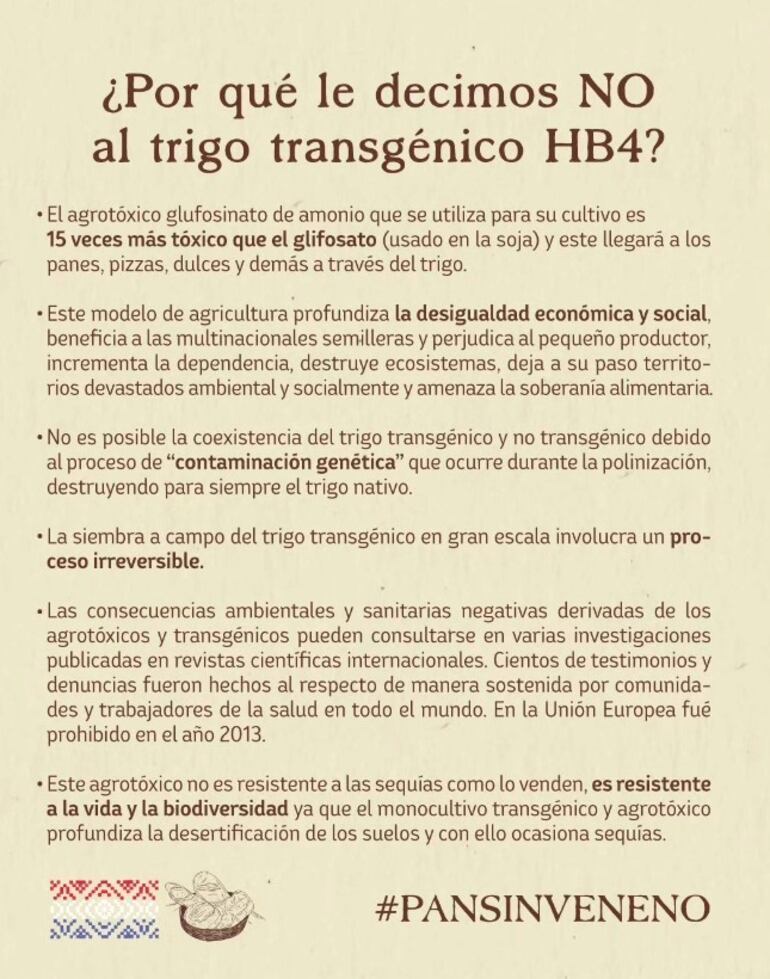 Panaderos y cocineros se unieron para solicitar prohibición del “trigo transgénico”