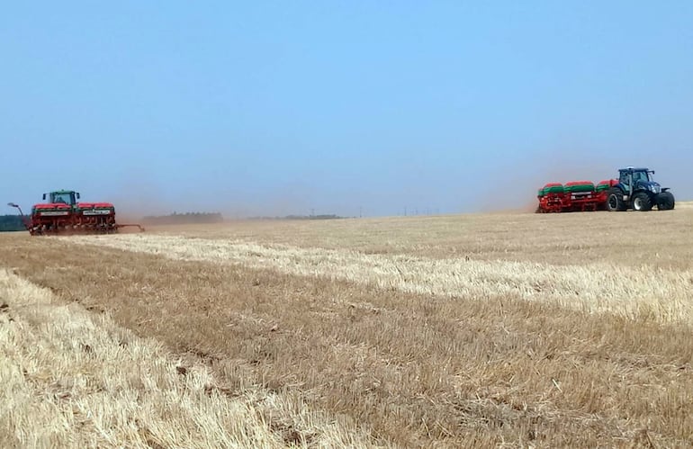 De a dos se realizan los trabajos de siembra de soja en gran parte de la región Oriental. Las semillas ya son depositadas con fertilizantes que deben cubrir los requerimientos del cultivo.