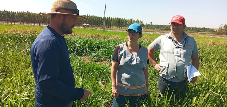 ¿En qué consiste la “Encuesta Nacional Agropecuaria”, que el MAG empezará en marzo?