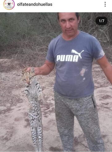 Un hombre apareció en una fotografía posando con un ejemplar de tiríka. (Fuente X).