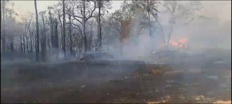 Miles de hectáreas de campos ganaderos consumidos por el fuego, en la zona de Fuerte Olimpo.