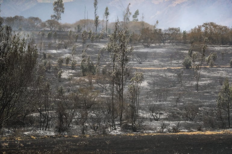 Fotografía donde se observa una zona afectada por un incendio en la población de Itulcachi, a la afueras de Quito (Ecuador).