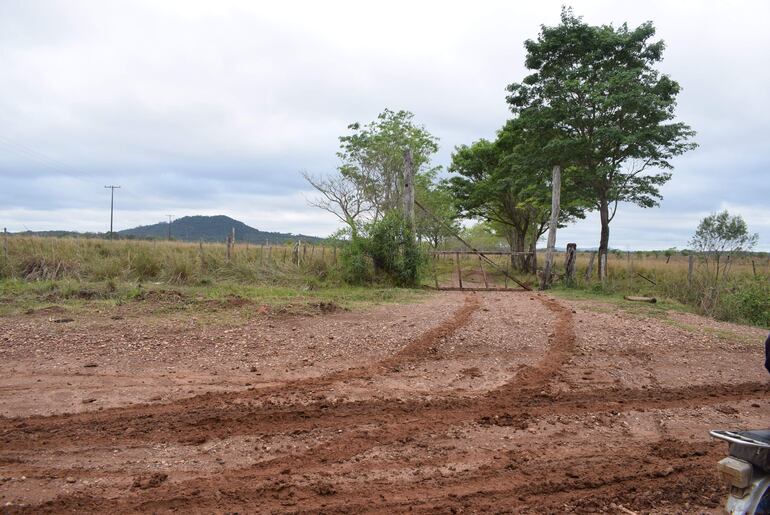 De la estancia del ex senador colorado Juan Darío Monges desaparecieron 83 animales vacunos.