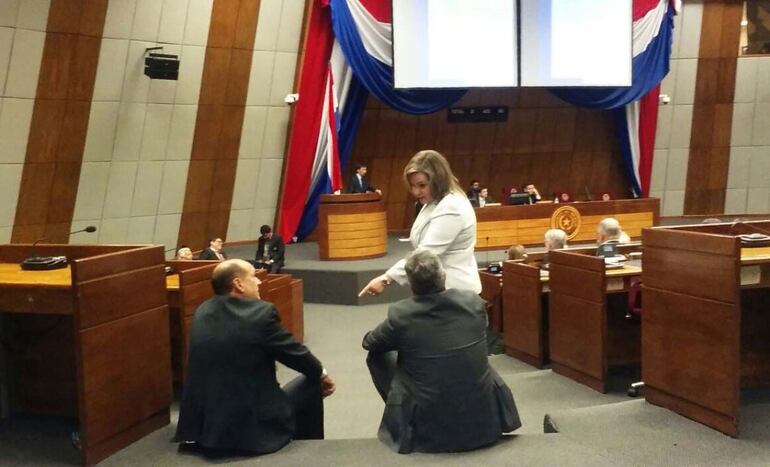 El senador Óscar “Cachito” Salomón junto a su colega Lilian Samaniego, ambos del bloque colorado independiente.