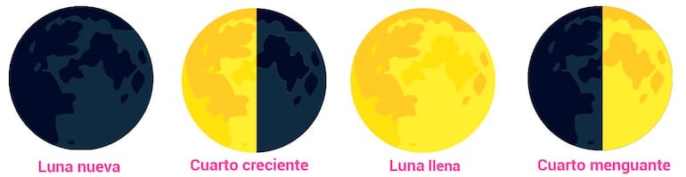 Las fases de la luna