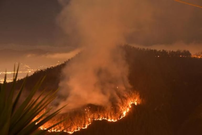 El viernes, Ecuador agradeció a Perú por su colaboración para sofocar este incendio forestal y anunció que el país vecino enviaría aviones y helicópteros para combatir las llamas.