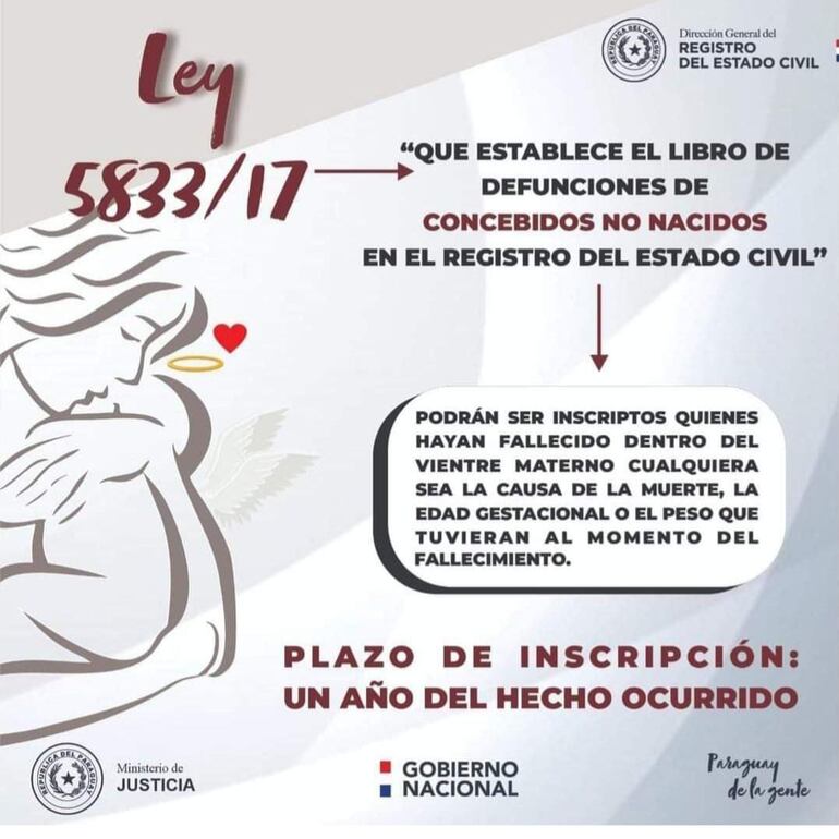 La ley N° 5833/2017, “Que establece el libro de defunciones de concebidos no nacidos en el Registro del Estado Civil”.