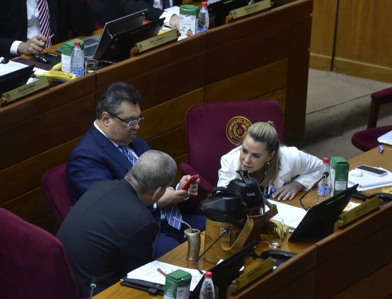 El senador cartista  Gustavo Leite (c) se ausentó de la sesión y su colega Lizarella Valiente no votó para tratar el proyecto de dar superpoder a Peña.