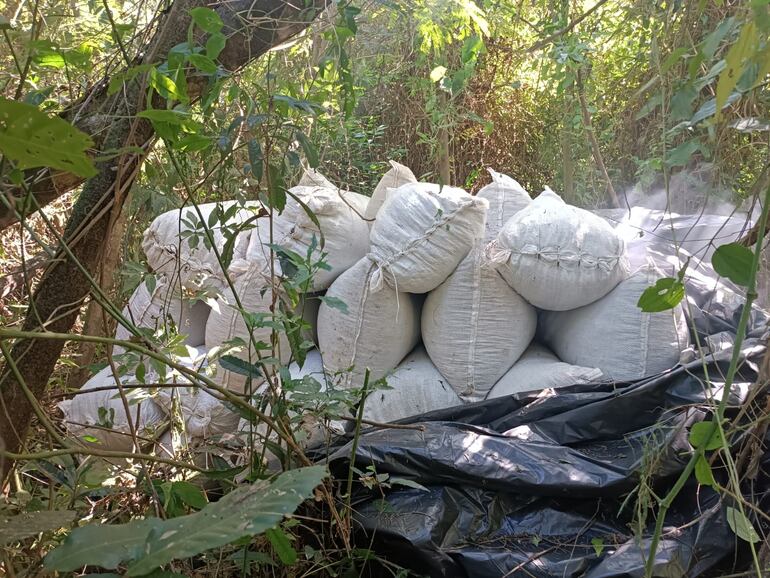 Bolsas con marihuana picada hallada en el Parque Nacional Caazapá