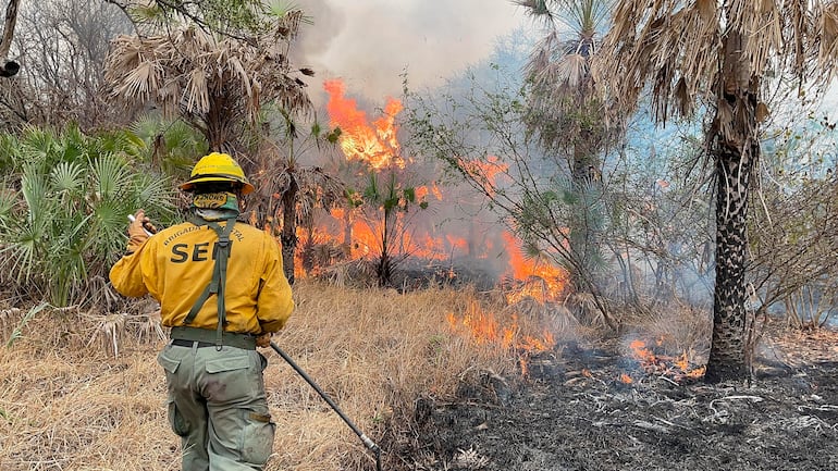 El fuego se reactivó esta mañana y afectó a la estancia General Díaz, a solo 8 kilómetros de la comunidad de Toro Pampa.