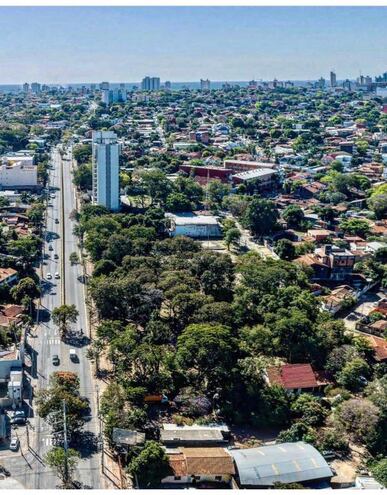 Vista aérea de los espacios verdes urbanos.