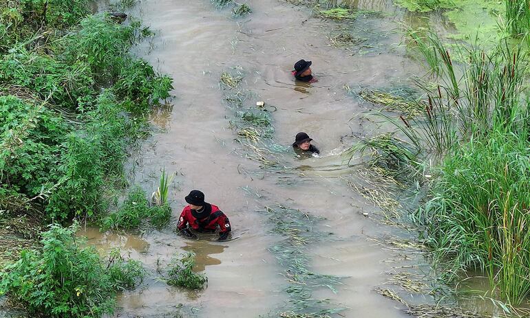 Rescatistas buscan a una mujer desaparecida en una zona inundada de la ciudad de Gyeongsan.