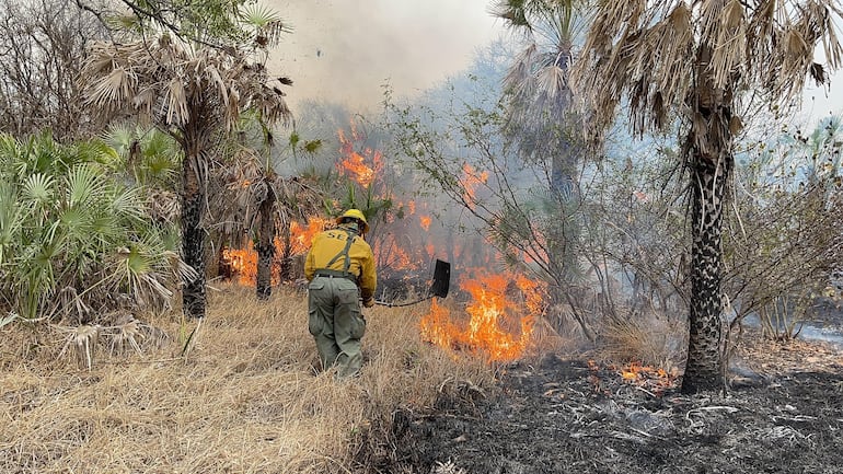 El fuego arrasó más de 50.000 hectáreas en el distrito de Fuerte Olimpo.