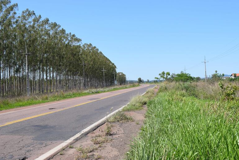  El estado de abandono de la ruta, donde las banquinas están saturadas de malezas y la capa asfáltica desaparecieron.