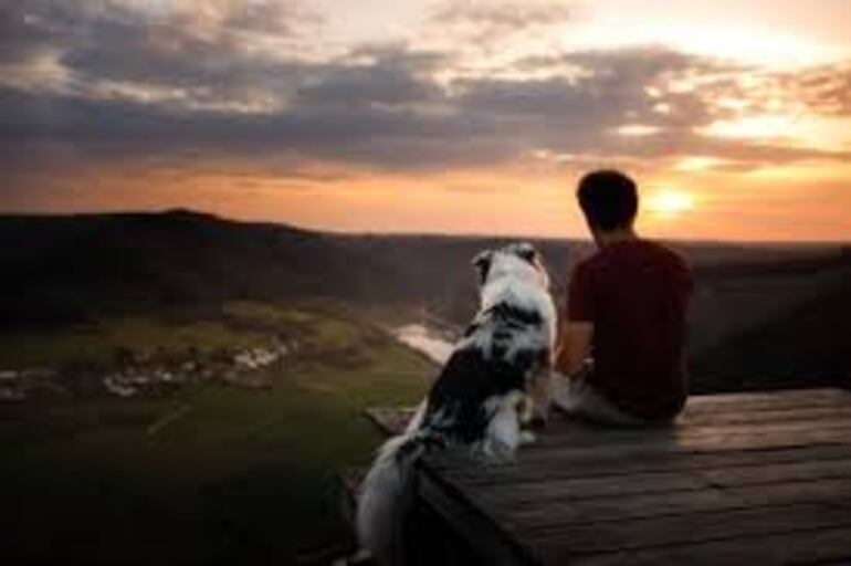 Un joven con su perro mirando el cielo