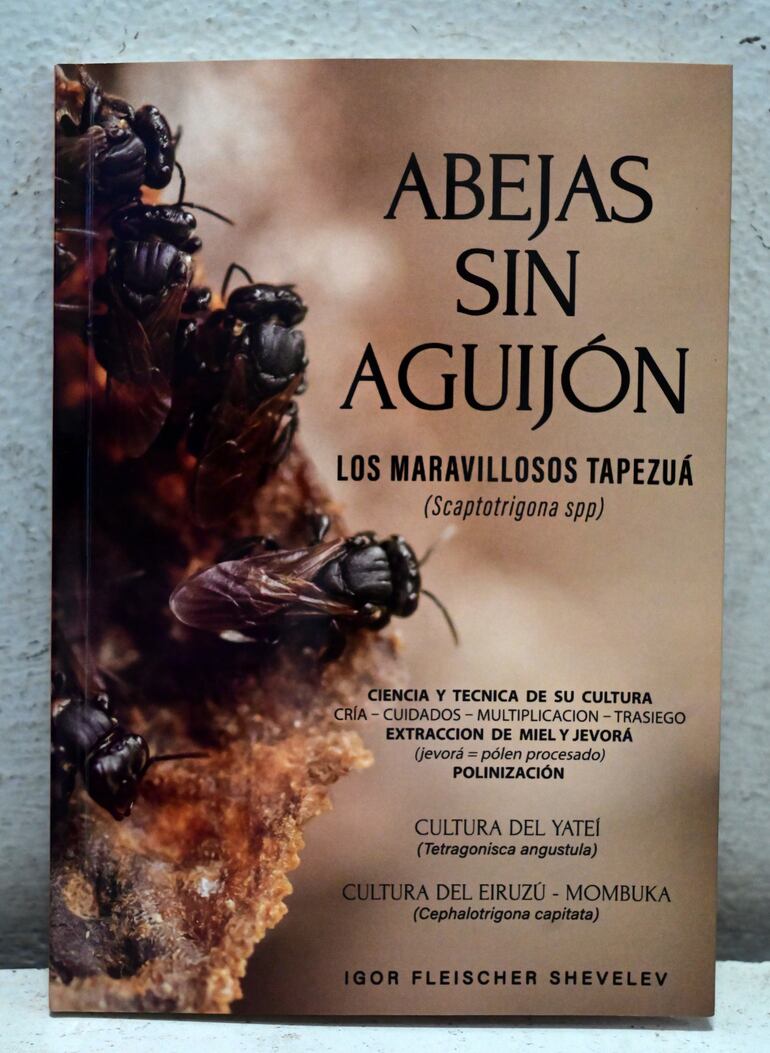 Libro Abejas sin aguijón.