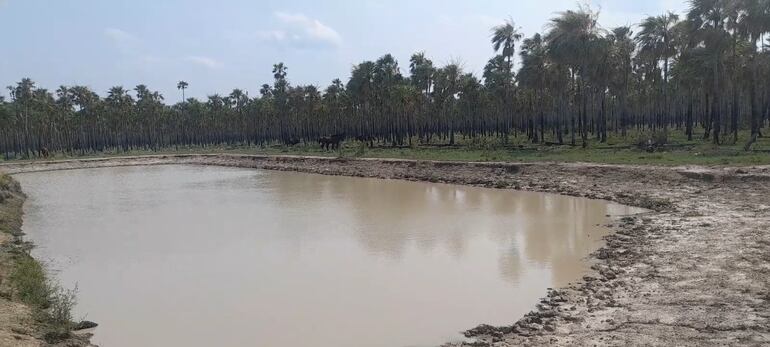 Los tajamares de las estancias comienzan a acumular agua con las primeras lluvias que se registran en la zona.