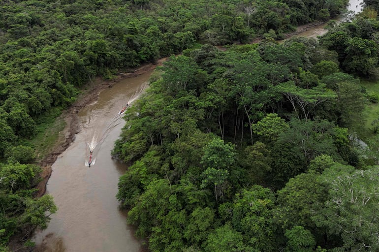 La diversidad de ciclos vitales de los árboles y no sólo el número de diferentes especies que constituyen un ecosistema influye en su mayor capacidad para capturar CO2 y, en general, los más eficientes son los bosques tropicales, donde hay mayor variedad demográfica.