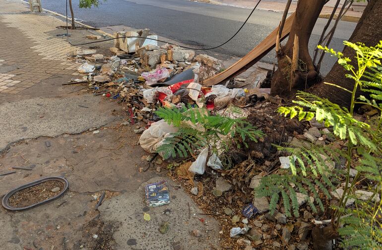 Cada día se puede encontrar más basura en el lugar.