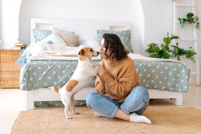 El amor hacia los perros también se puede fortalecer mediante la mejora de las rutinas de entrenamiento, haciéndolas más divertidas y entretenidas.