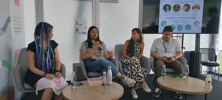 Soledad Espínola, de la red paraguaya de Jóvenes por la Biodiversidad, participó de varios paneles en el marco de la COP 16, en Cali, Colombia, junto con jóvenes de otros países.