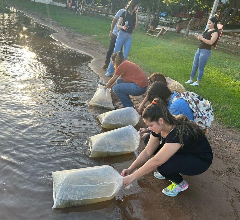 Jóvenes sembraron 500 peces juveniles de la especie Pacú.