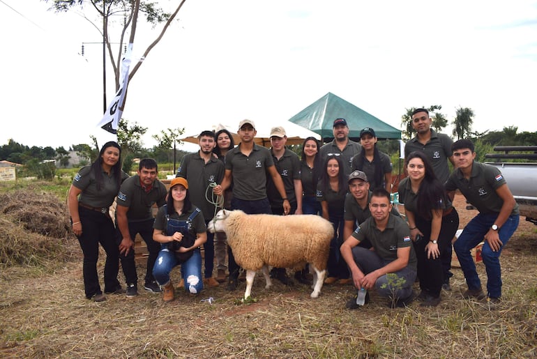 La producción ovina es una alternativa para generar ingresos.