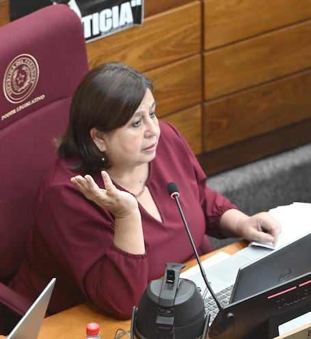 SESION EXTRA ORDINARIA CAMARA DE SENADORES
Esperanza Martínez. 
FERNANDO ROMERO 29-10-24 POLITICA