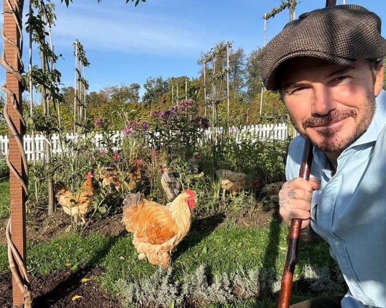 David Beckham posando feliz con sus gallinas.