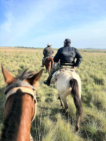 Brigada de Lucha contra el Abigeato en busca de 72 animales que faltan recuperar en Caapucú.