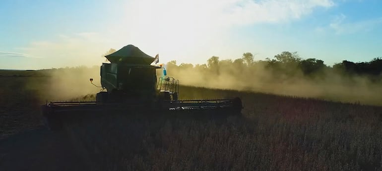 La actividad agrícola es exitosa en la zona de Agua Dulce de Santa María, pero necesitan caminos de todo tiempo, para hacer llegar los productos a los mercados.