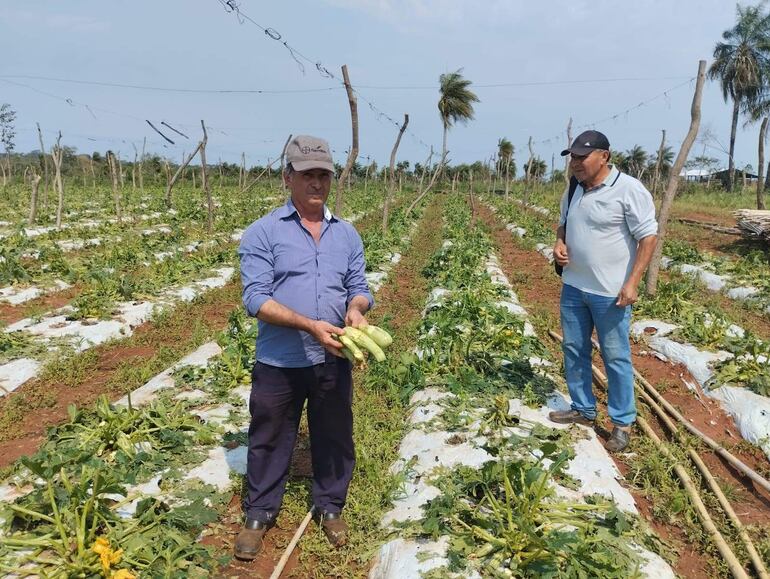 Piden semilla y subsidio para productores que perdieron su  producción tras el temporal de tormenta y granizada.