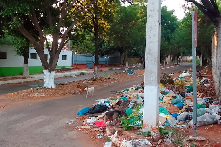 Desde residuos de viviendas hasta animales muertos son lanzados en el minivertedero clandestino ubicado en inmediaciones del Club Atlético Colegiales de Lambaré.