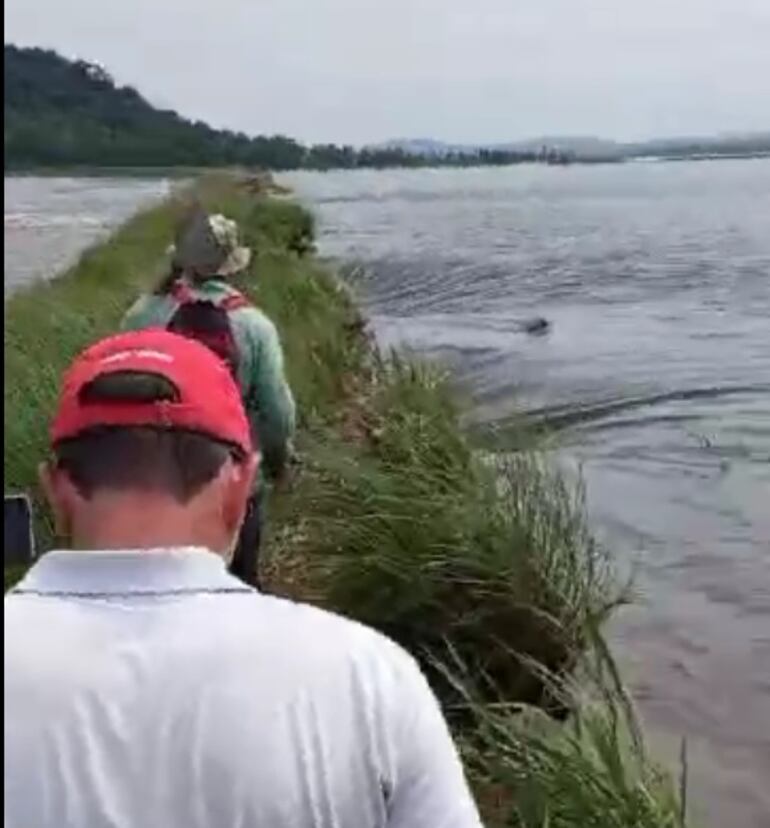 Arrozales totalmente bajo agua, productores observando y tratando de encontrar camino hacia zonas altas.