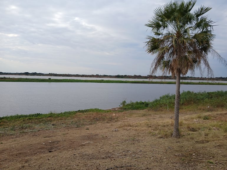 Atravesar el río se denomina el nuevo proyecto de la cineasta Paz Encina.