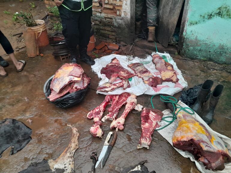 Restos de animales vacunos y cuero de una vaca faenada.