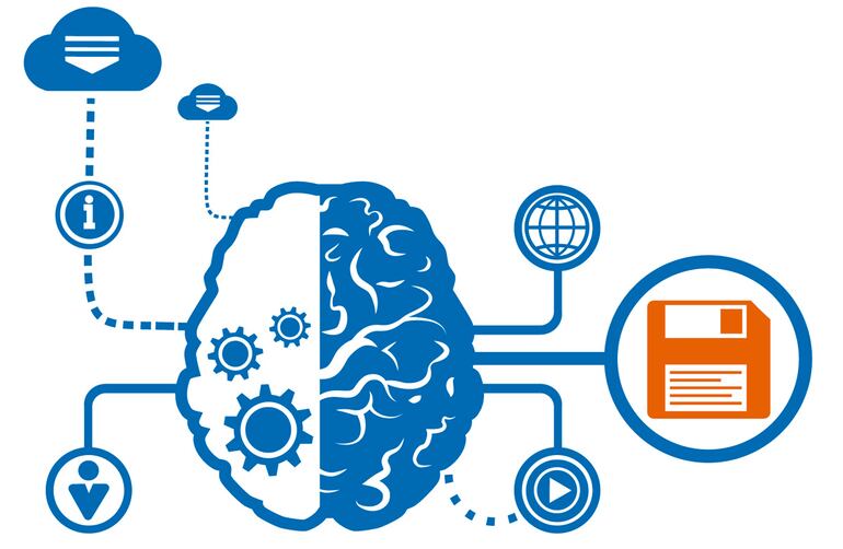 El sistema operativo social del cerebro.