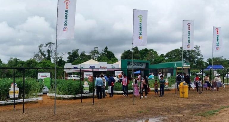 Stand del Inbio y Anapo en la Expo Soya de Bolivia.