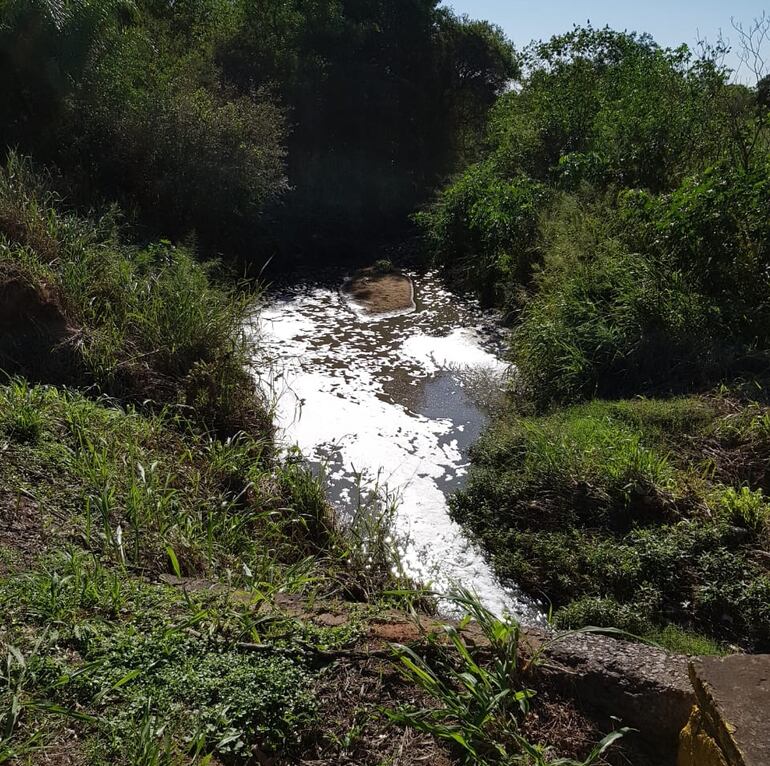 El arroyo Cañada del Carmen es víctima de una impune contaminación desde hace varios años.