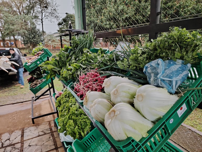 Tienda de Agricultura Familiar y Emprendimientos “Jajapo Porá”.