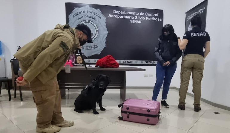Can antidrogas detecta cocaína en la maleta de una joven que tenía como destino España.