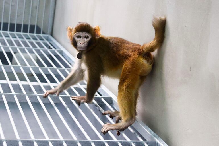 Fotografía de Zhaodi Liao en el Laboratorio de la Academia de Ciencias en Shanghai.